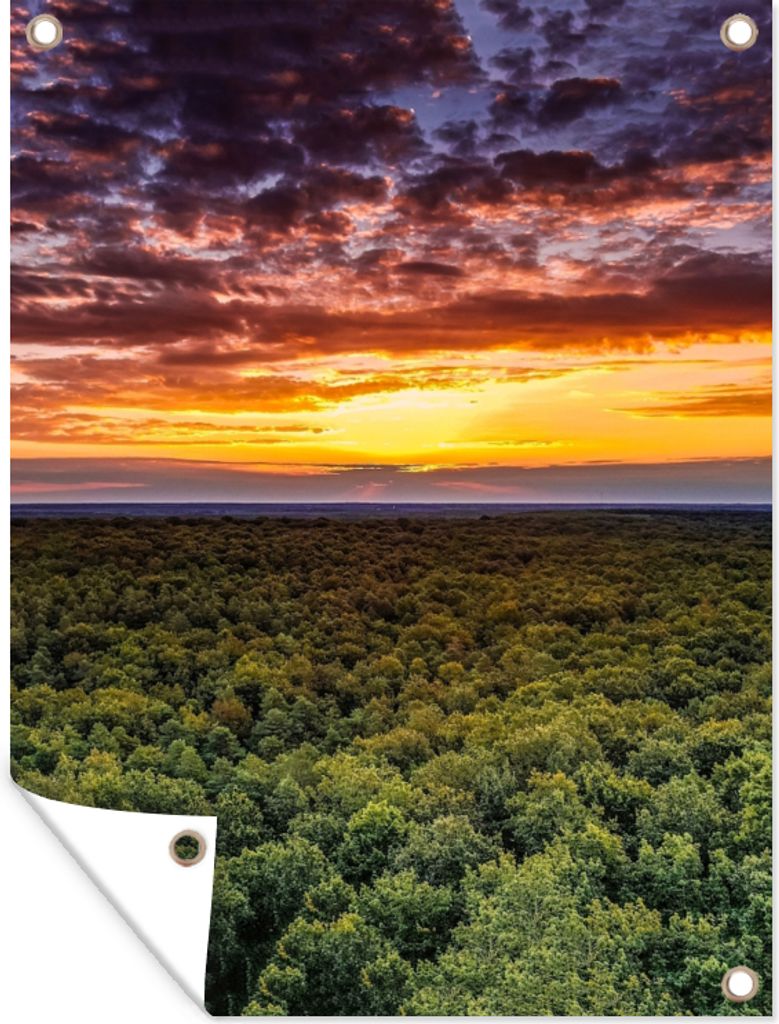 MuchoWow 90x120 cm Outdoor-Poster Gartendeko Sichtschutz Garten Poster für den Garten Wald - Nacht - Himmel - Horizont - Bäume
