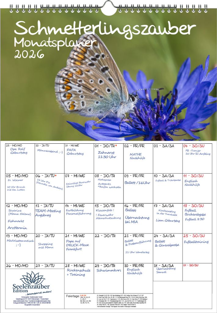Schmetterlingszauber Planer DIN A3 Kalender für 2026 Schmetterling - Seelenzauber