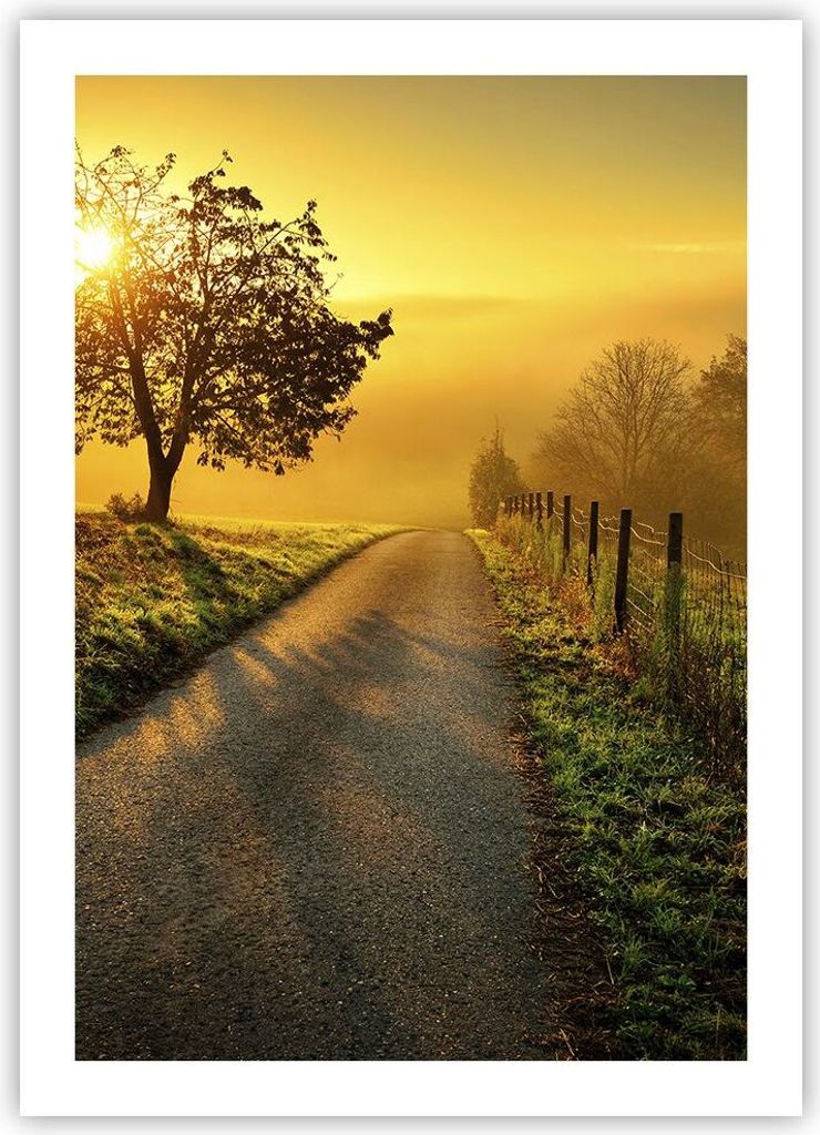 Poster - Poster ohne Rahmen - Feld Straße Baum - 50x70 cm - Wand Bild - Wanddeko - Wandbilder - Kunstposter - Wandposter - Bilder - Kunstdruck - W...