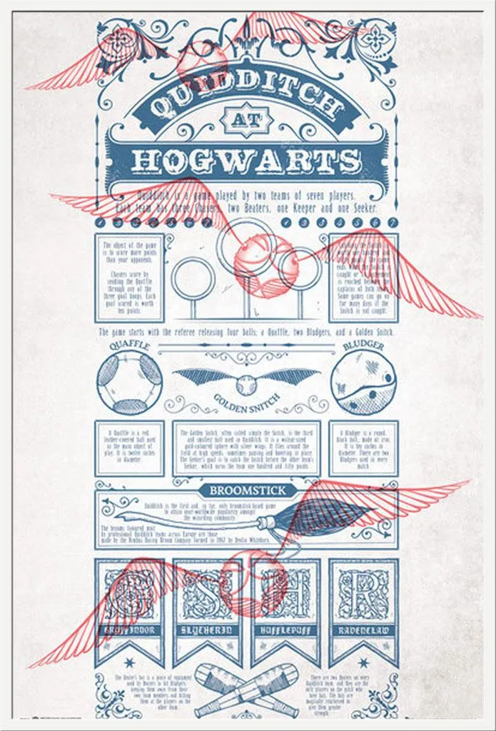 Décoration Murale Harry Potter Quidditch : Affiche avec Cadre Blanc 61x91