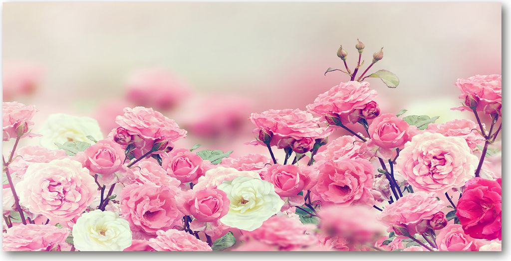 Tulup Glas-Bild -140x70- Wandkunst Dekorative Wand für Küche & Wohnzimmer - Blumen & Pflanzen - Blumen Rose - Rosa