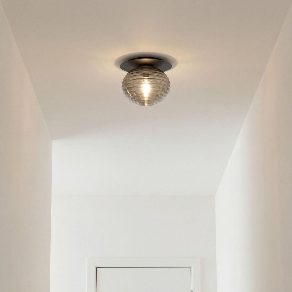 Deckenlampe Rauchglas Metall E27 rund Ø 20 cm Schwarz Modern