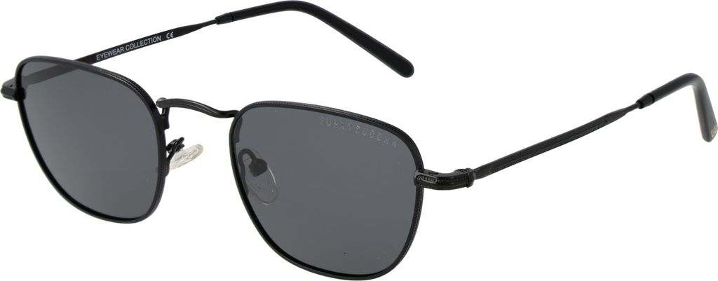 Funky Buddha Sunglasses FBS2030 005 48