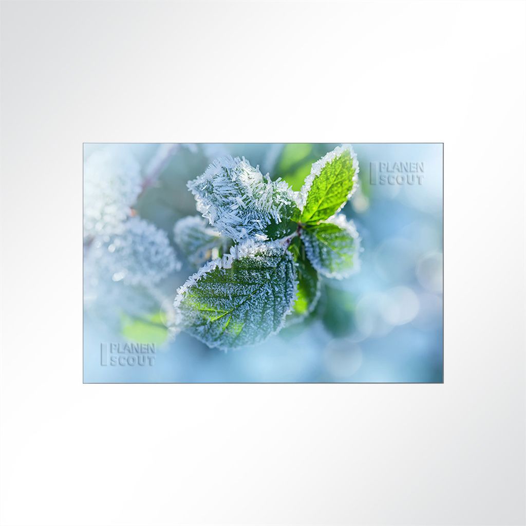 Lysel Absorberbild - Kräuter im Frost 100x50x5,5cm - Akustikbild Schallschlucker mit 50mm Schaumstoff aus Basotect G+