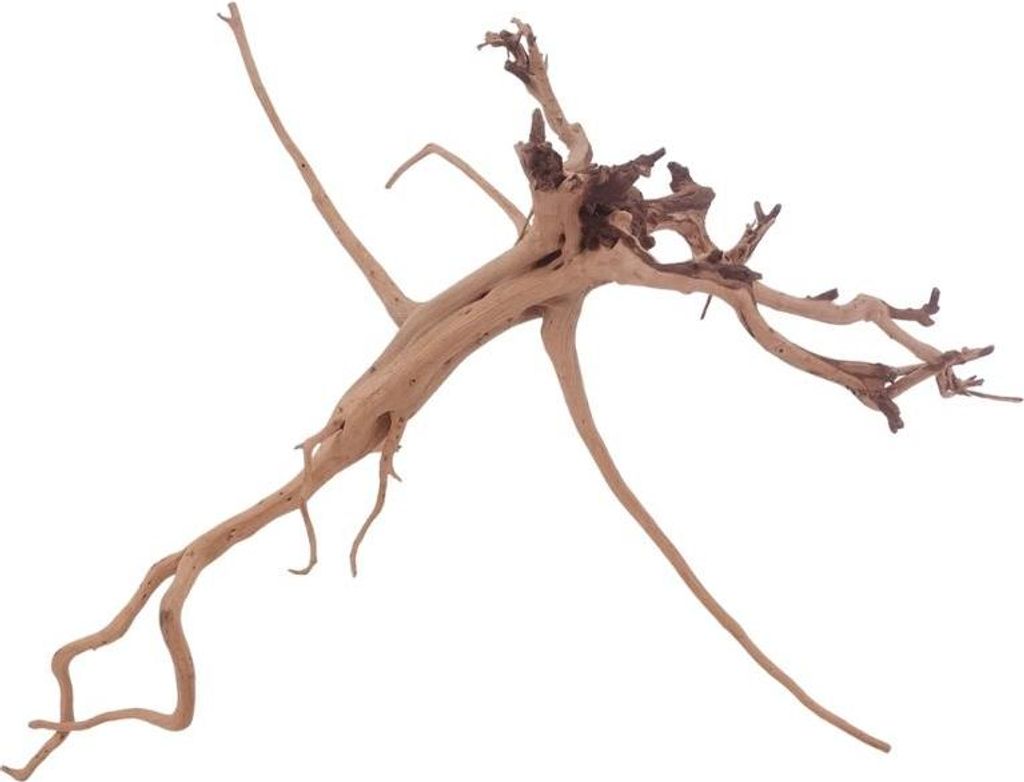 M Siennawurzel Nr.3249 Wurzel Holz Aquarium Deko Aquascaping