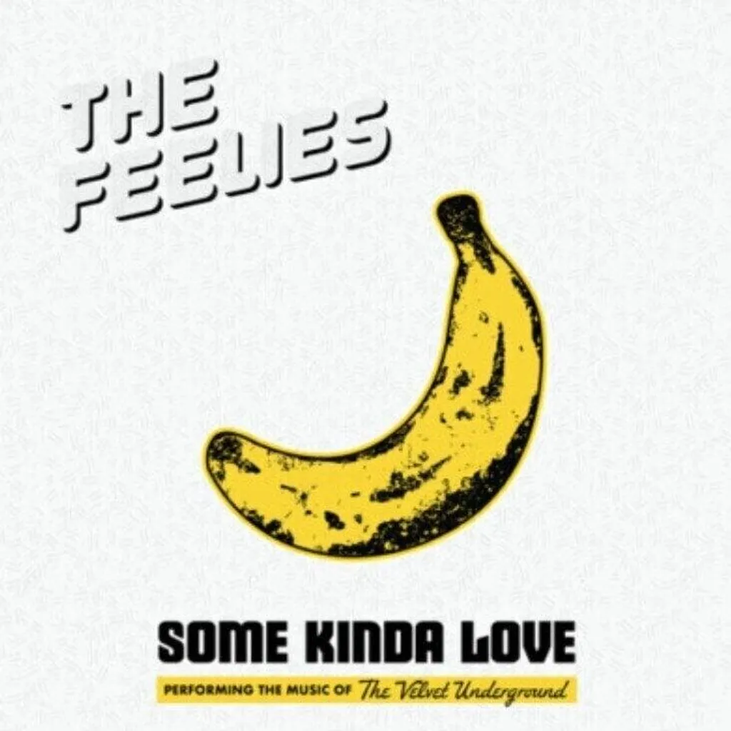 Retrouvez le Son Authentique du Velvet Underground avec le LP Les Feelies