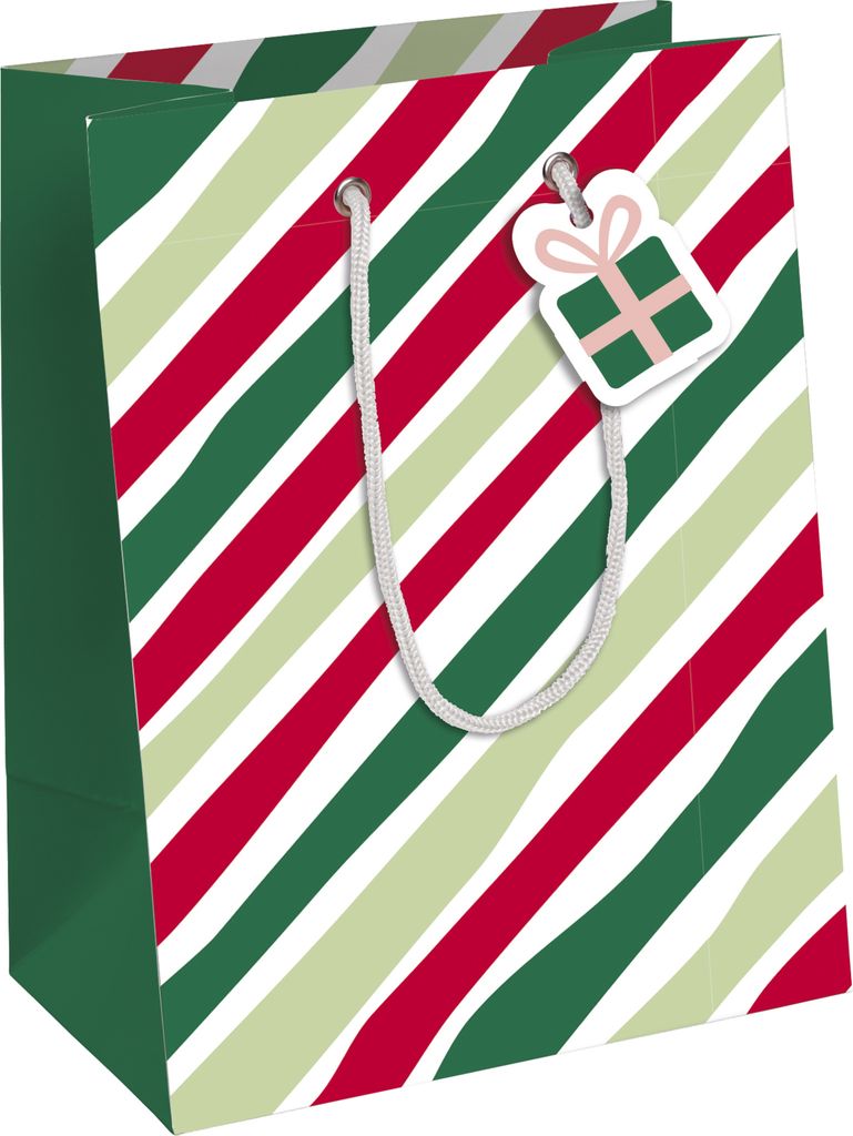 Clairefontaine 6x Geschenktasche, 21,5x10,2x25,3cm - Mehrfarbig X-30882-3C