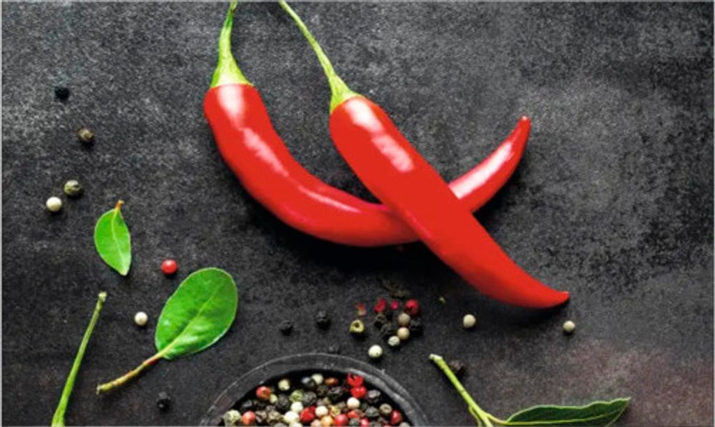 Küchenrückwand mySpotti Profix Chili 100 x 60 cm PX-10060-749-HB