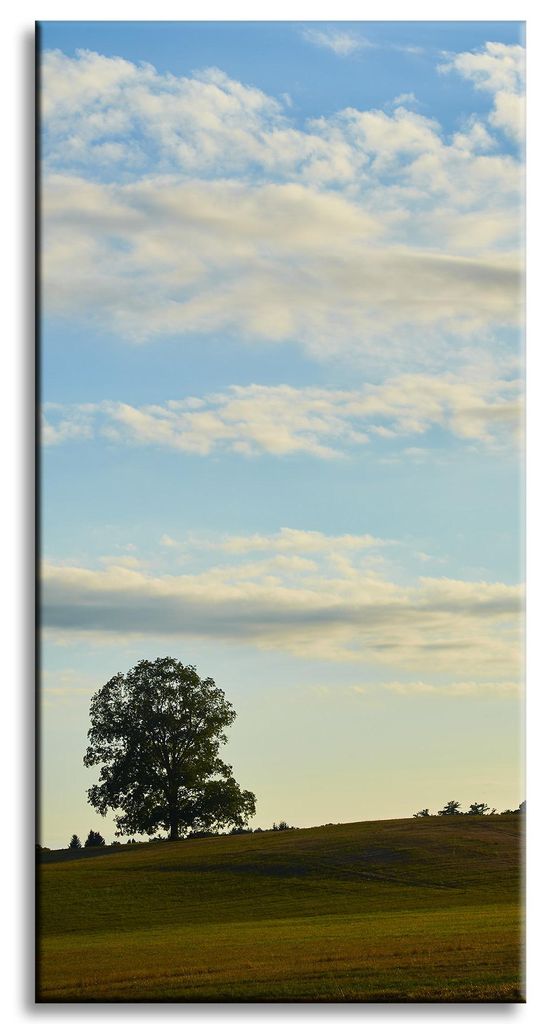 Leinwanddruck Natur Baum auf einer Wiese 40x80 cm Himmel Wiese Wolken