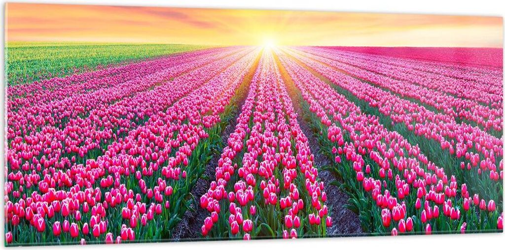 Bilder auf glas - Wiese Tulpen Sonnenuntergang Frühling - 120x50cm - Glasbilder - Wandbilder - Kunstdruck - Wanddekoration aus Glas - Glas Bilder ...