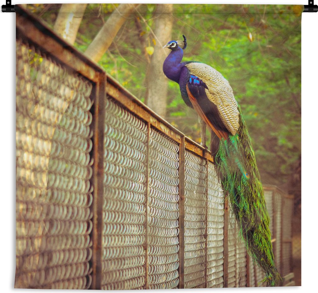 MuchoWow Wandteppich Wandbehang Pfau - Federn - Zaun 120x120 cm Tapisserie Dekoration Wandtuch - Modern - Baumwollgewebe