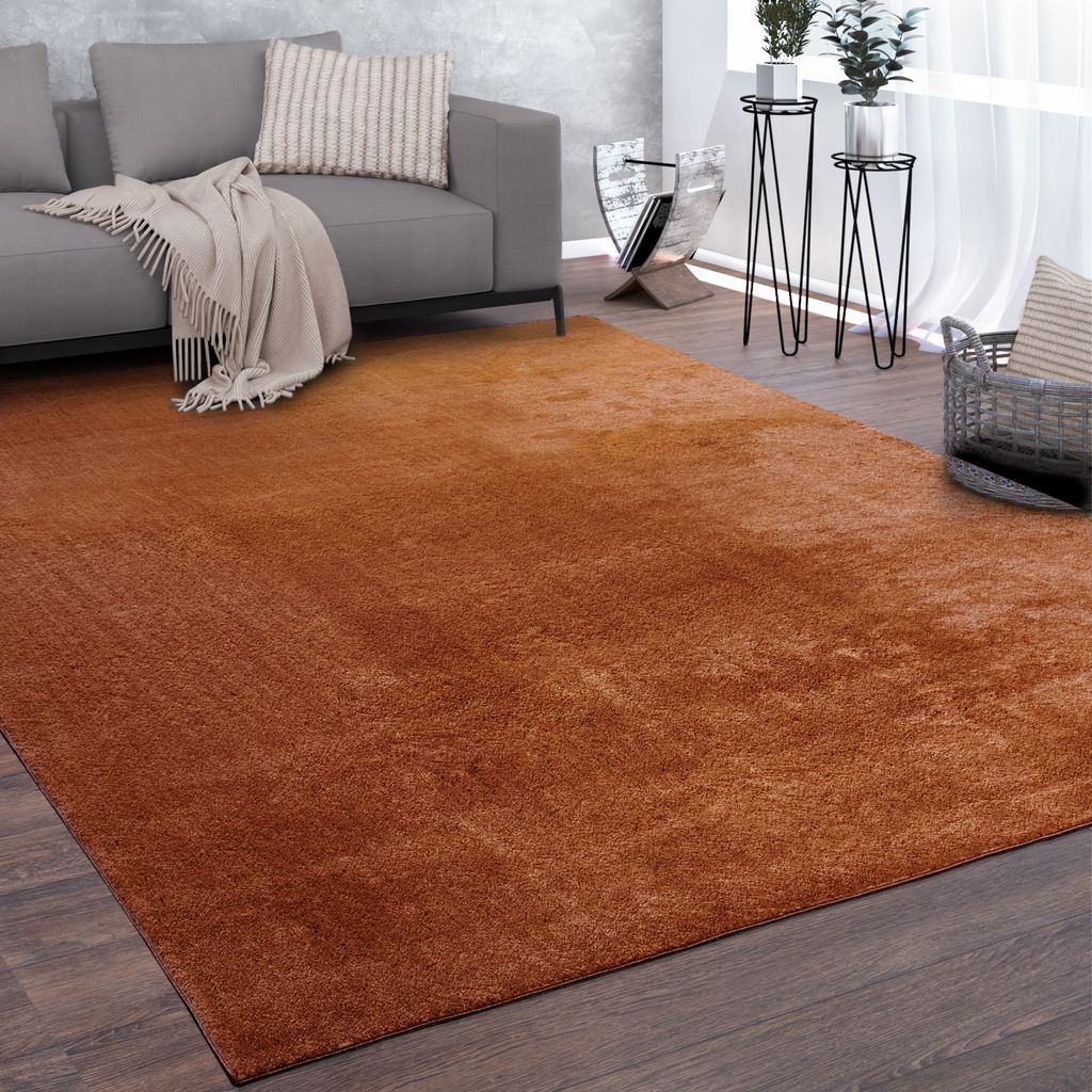 Waschbarer Teppich Wohnzimmer Kurzflor Einfarbiger Moderner Stil Weich Orange Grösse 120x160 cm