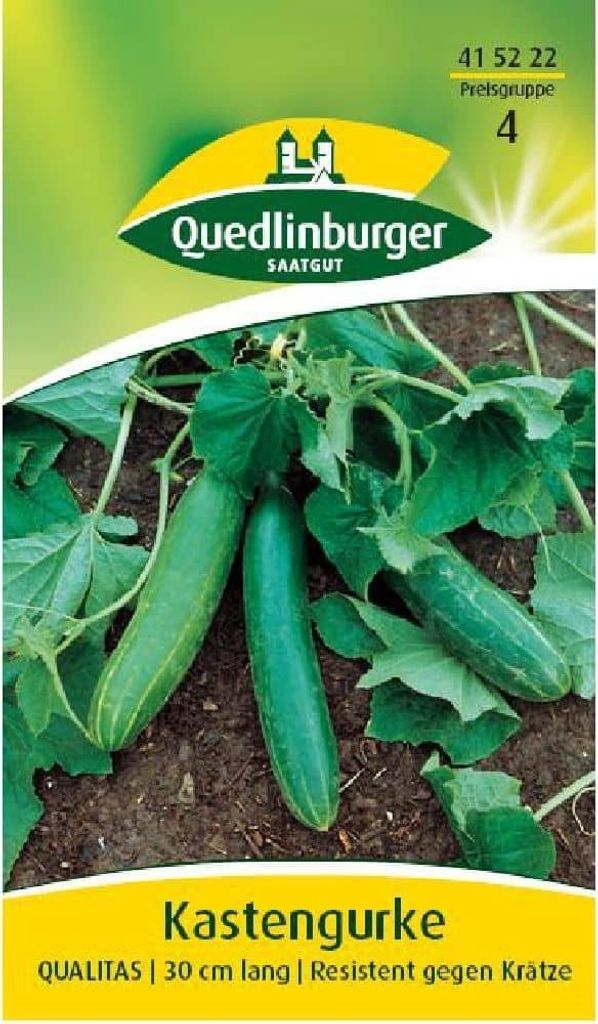Kastengurke Qualitas | Gurkensamen von Quedlinburger