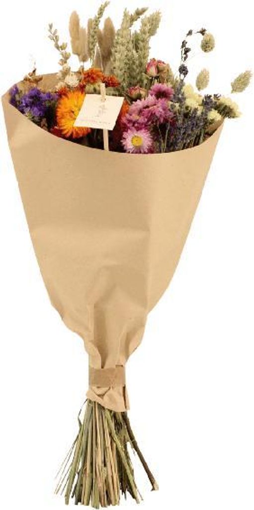 Trockenblumenstrauß Bunt Ø20cm 50cm Trockenblumen Blumenstrauß Deko Pflegefrei