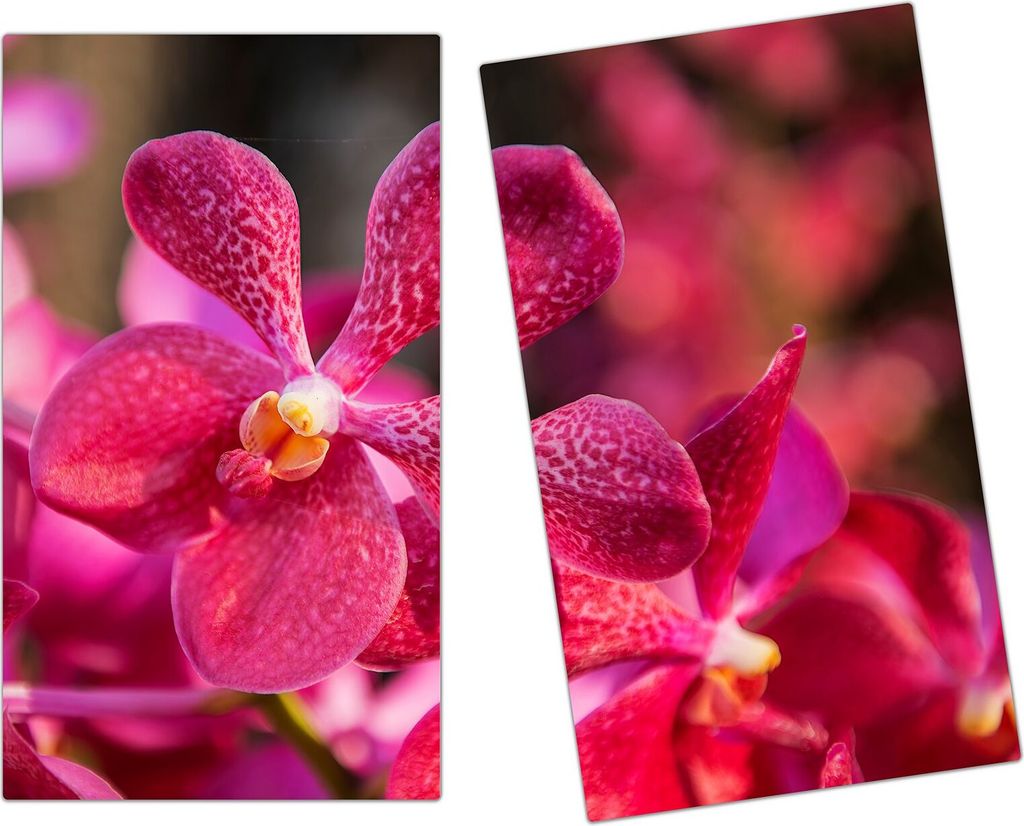 Spritzschutz Herdabdeckplatte Schneidebrett aus Glas Orchideen von Nah 2-Teilig (60x52cm)