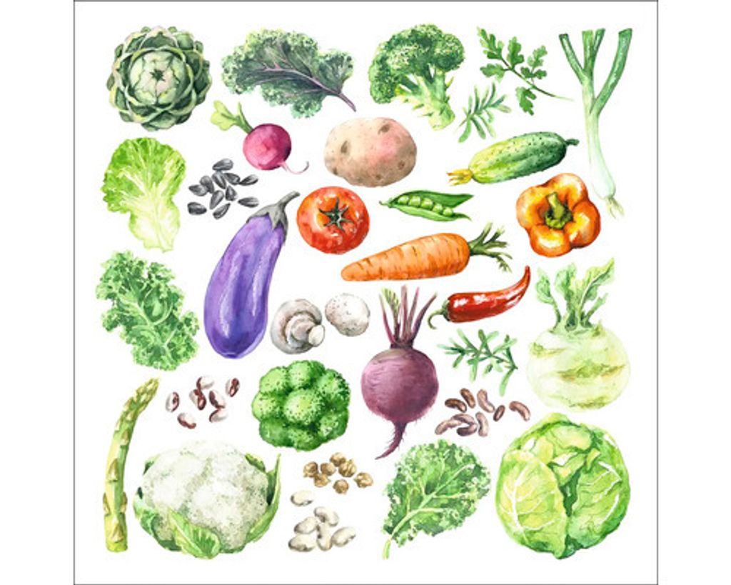Glasbild Different Vegetables 50x50 cm