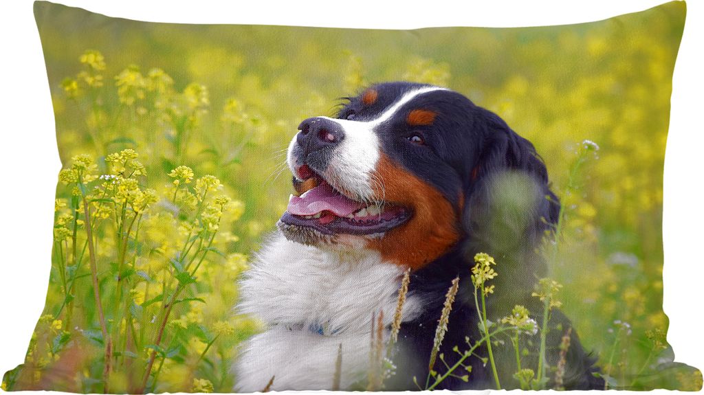 MuchoWow Zierkissen Sofakissen Wohnzimmer Dekokissen 50x30 cm Ein Berner Sennenhund zwischen gelben Blumen - Wohnzimmerdekoration - Polster mit P...