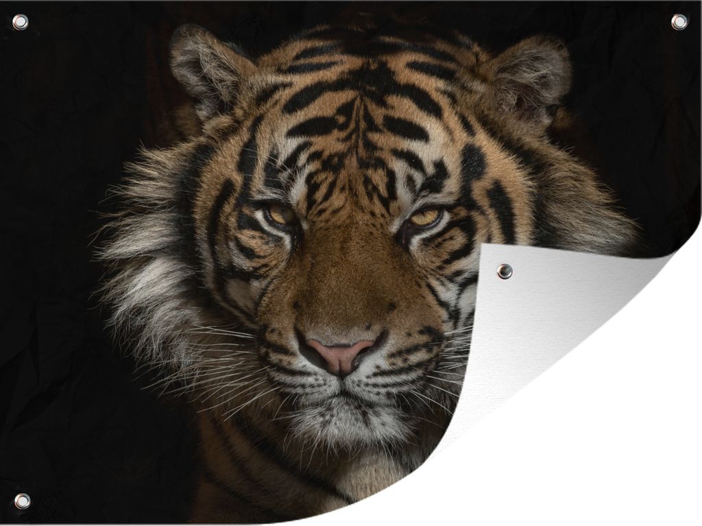 MuchoWow 80x60 cm Outdoor-Poster Gartendeko Sichtschutz Garten Poster für den Garten Tiger - Wilde Tiere - Porträt