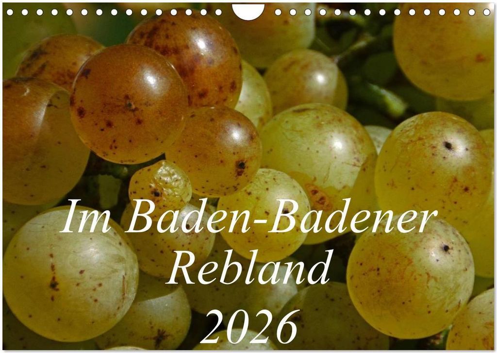 Im Baden-Badener Rebland 2026 (Wandkalender 2026 DIN A4 quer), CALVENDO Monatskalender