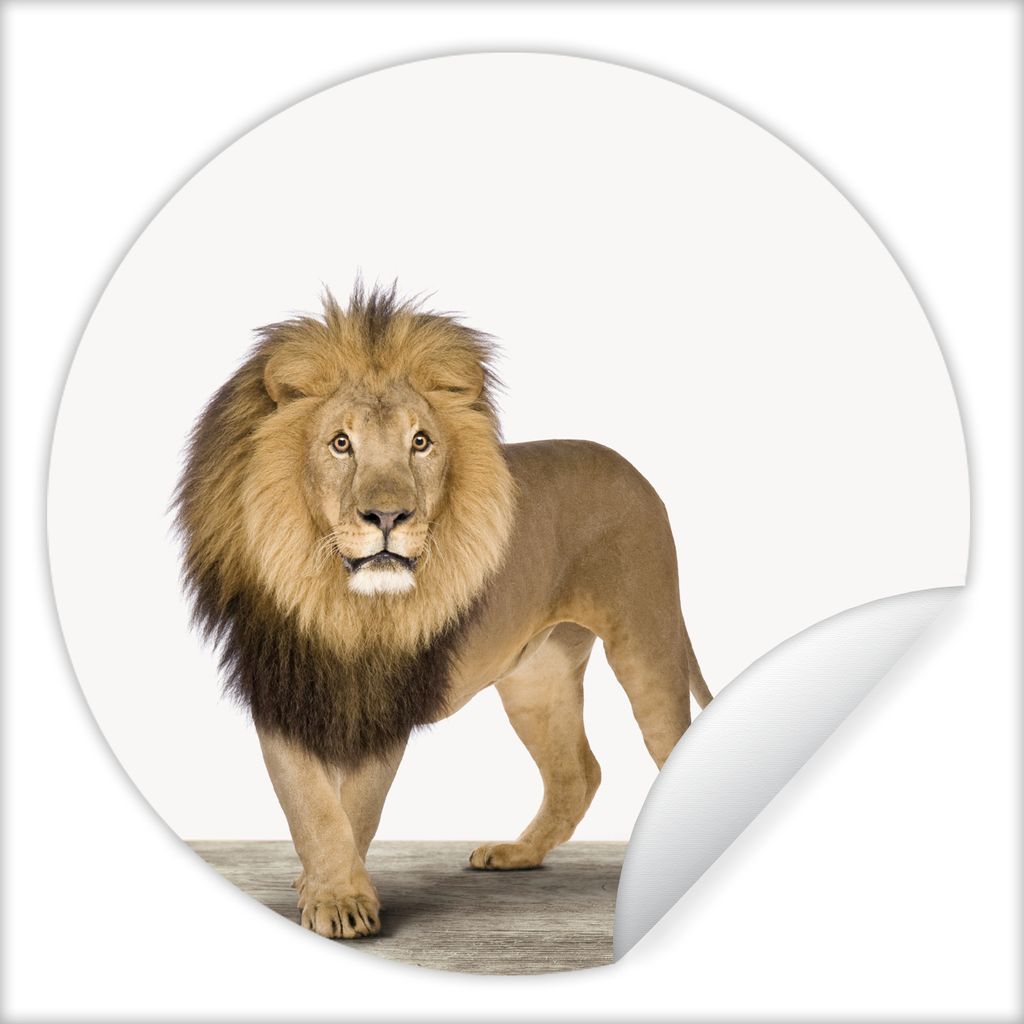 MuchoWow Runde Wandtattoo - Wandsticker Tapete Aufkleber Jungen - Löwe - Tiere - Kinder - Mädchen Ø 100 cm Selbstklebend und Repositionierbar ...