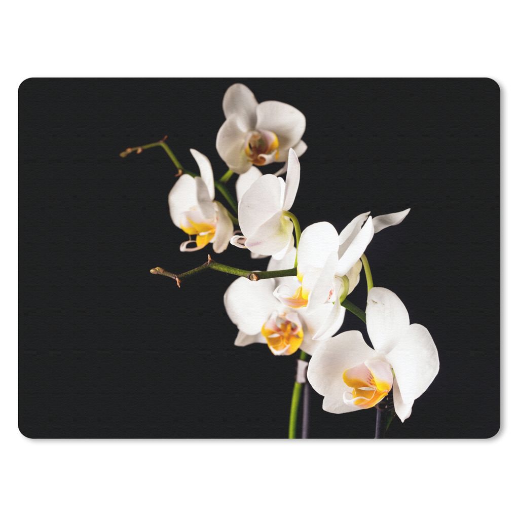 MuchoWow Mauspad Mousepad Orchidee - Blumen - Pflanzen - Botanisch 23x19 cm - Mousepads - Maus Mat - Pad - Mausunterlage - Schreibtischunterlage ...