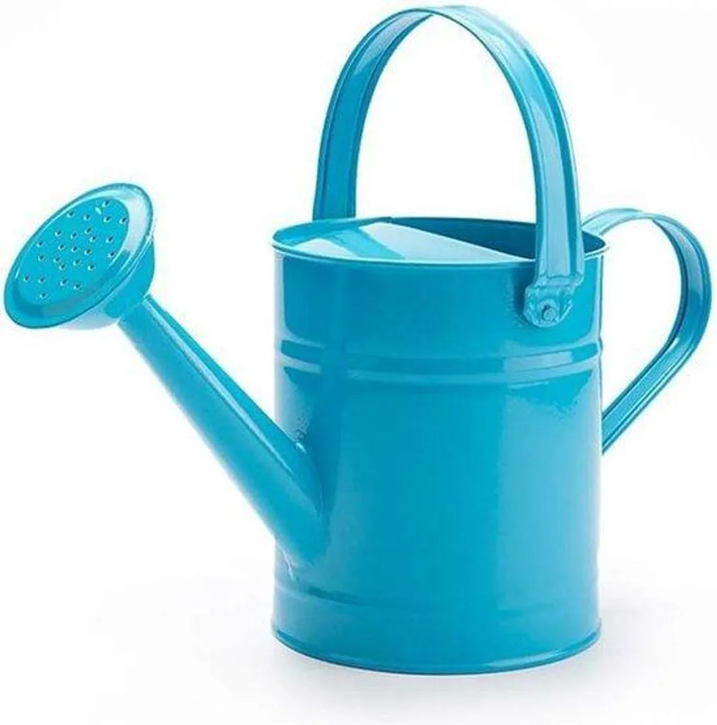 Arrosoir en métal bleu 1,5 l - Mini arrosoir vintage pour jardinier