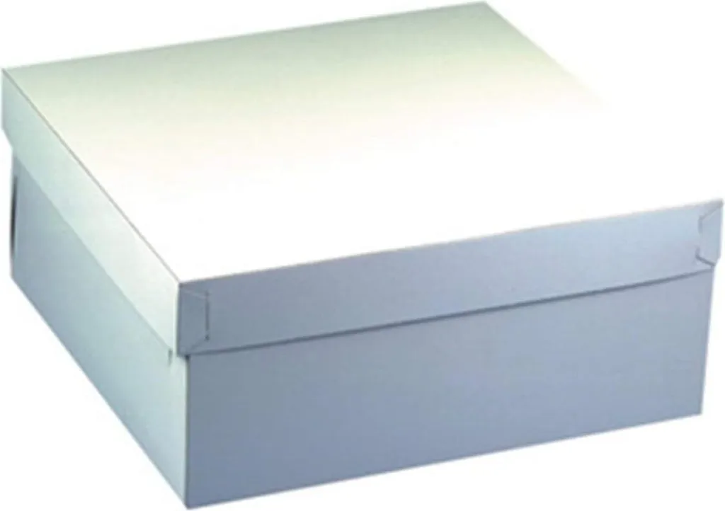Boîte de transport pour tartes et pâtisseries PAPSTAR 30x30x10 cm - 10x