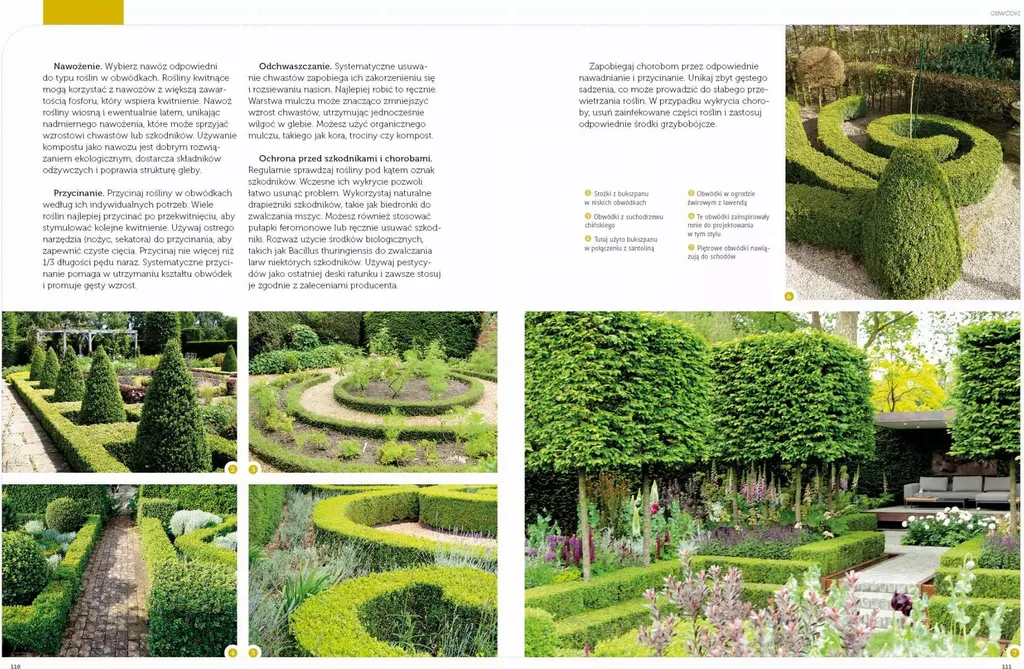 Techniques de formation des plantes - Guide illustré Danuta Młoźniak