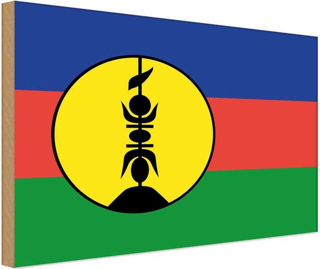 vianmo Holzschild 20x30 cm Neukaledonien New Caledonia Flagge Fahne Wappen