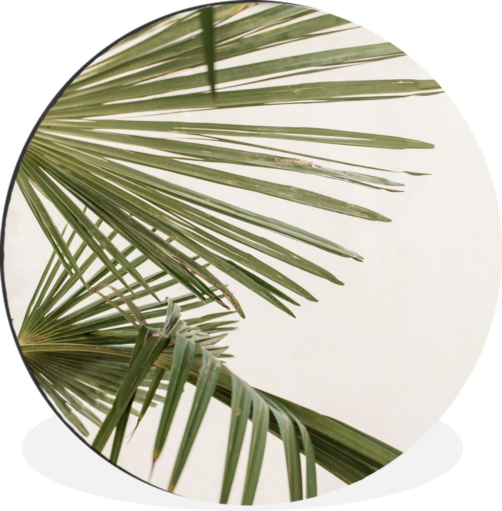 MuchoWow Aluminium Wandkreis Palmwedel - Grün - Natur Ø 90 cm Wanddeko Modern Wohnzimmer - Mauerkreis - Wandbilder - Runde Bild - Bild aus Alum...