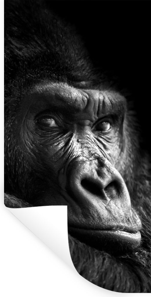 MuchoWow Wandtattoo Wandsticker Wandaufkleber Gorilla - Affe - Schwarz - Weiß - Porträt 40x80 cm Selbstklebend und Repositionierbar - Repositio...