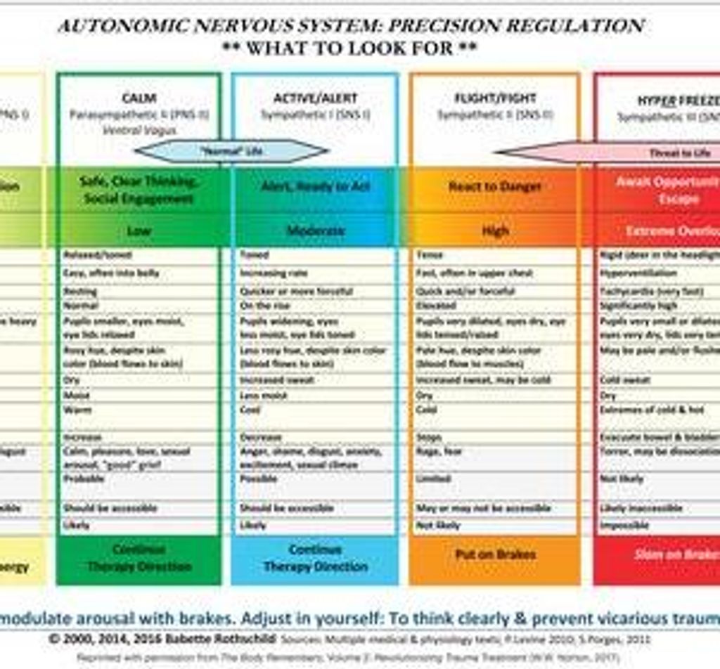 Autonomic Nervous System Table: Laminated Card