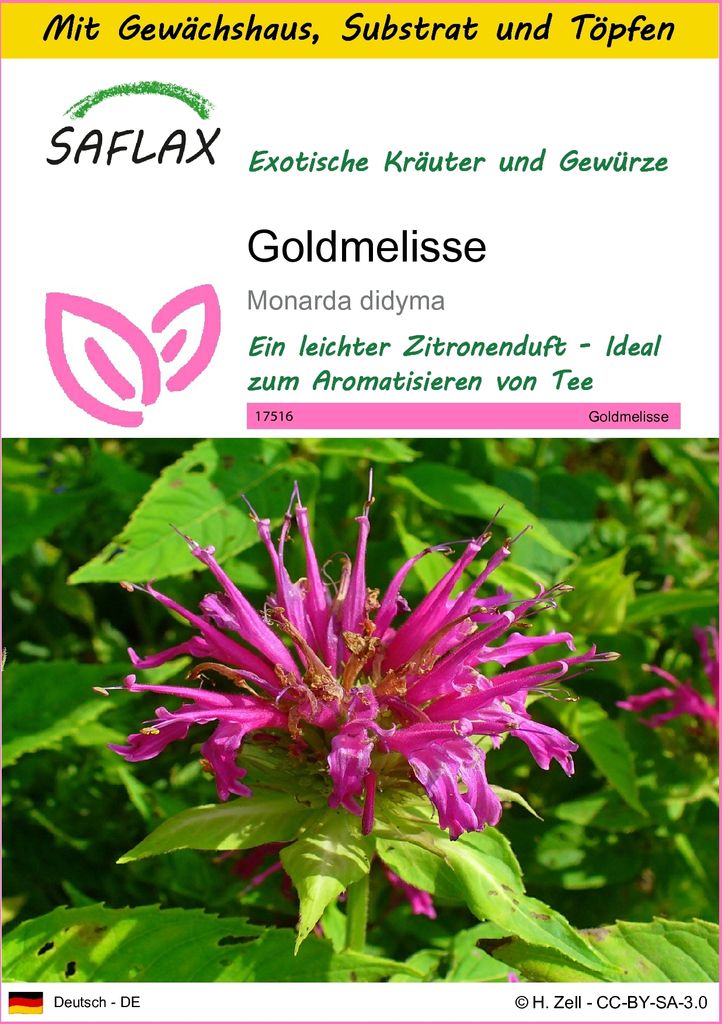 SAFLAX Anzucht Set - Goldmelisse - Monarda didyma - 20 Produktbild 
