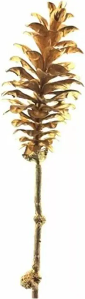 Branche de pin artificielle de 64cm pour décoration de table Noël