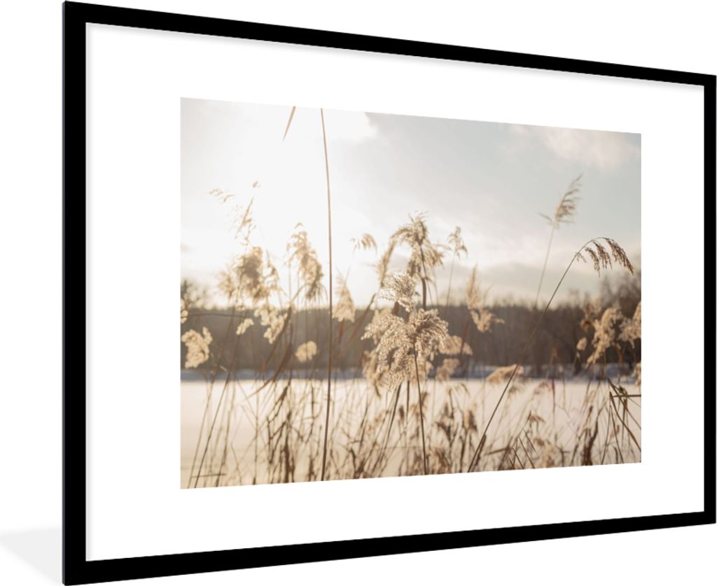 MuchoWow Gerahmtes Poster Wasser - Pampasgras - Pflanzen 90x60 cm - Poster mit Schwarzem Bilderrahmen Wandposter Rahmen Foto Bilder - Wanddekorat...