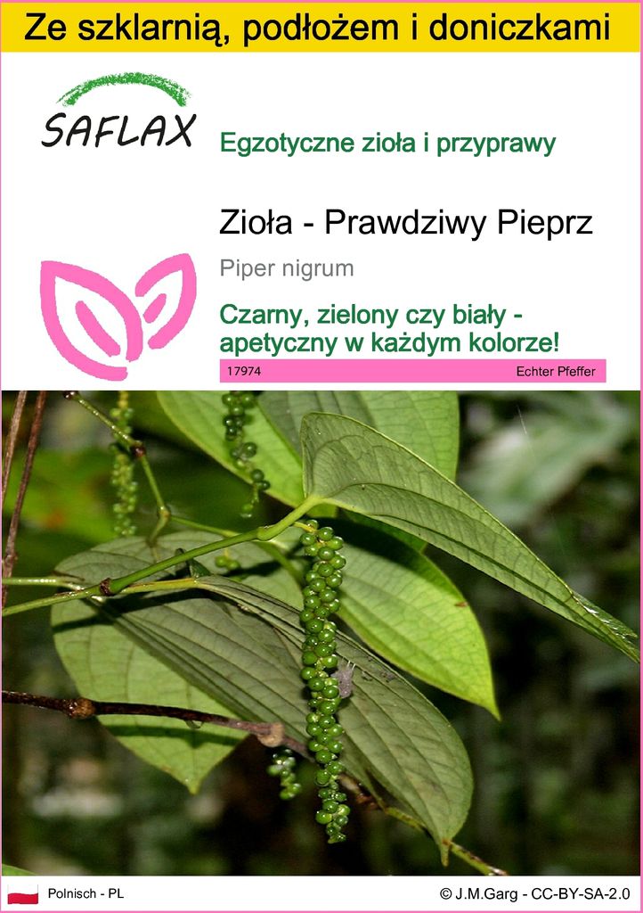 SAFLAX - Zestaw do uprawy - Zioła - Prawdziwy Pieprz - 20 Zdjęcie produktu 