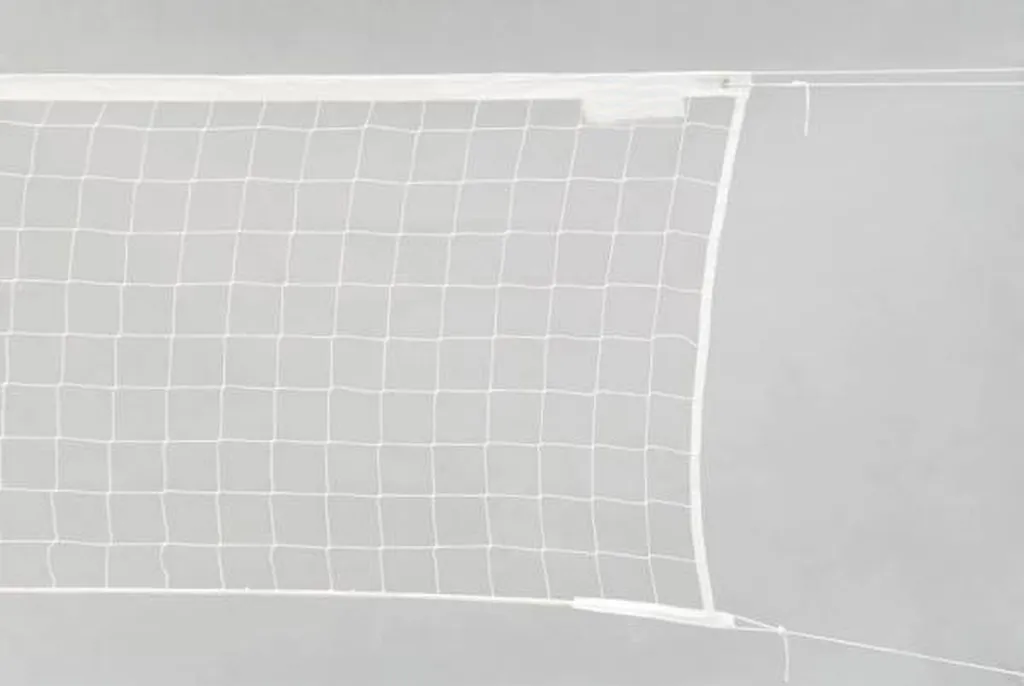 Filet de volley blanc 10m x 1m - Équipement de sport pour terrain nu