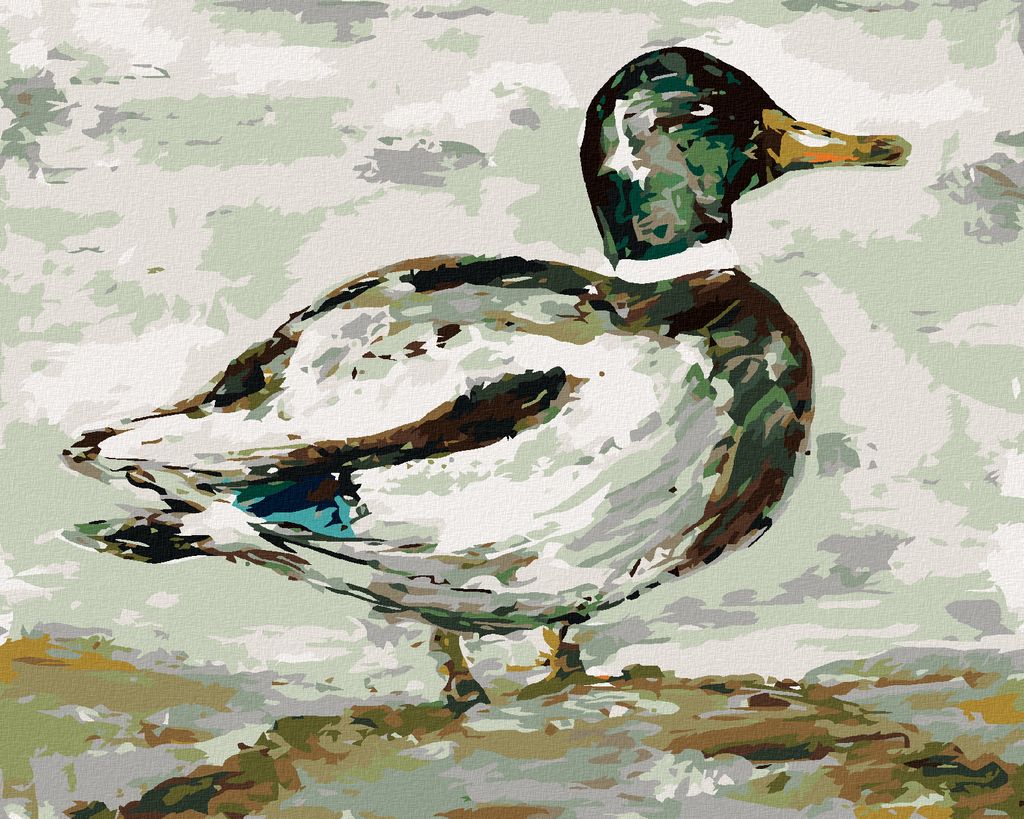 Zuty - Malen nach Zahlen - WILDENTE (HALEY BUSCH), 40x50 cm, ohne Keilrahmen