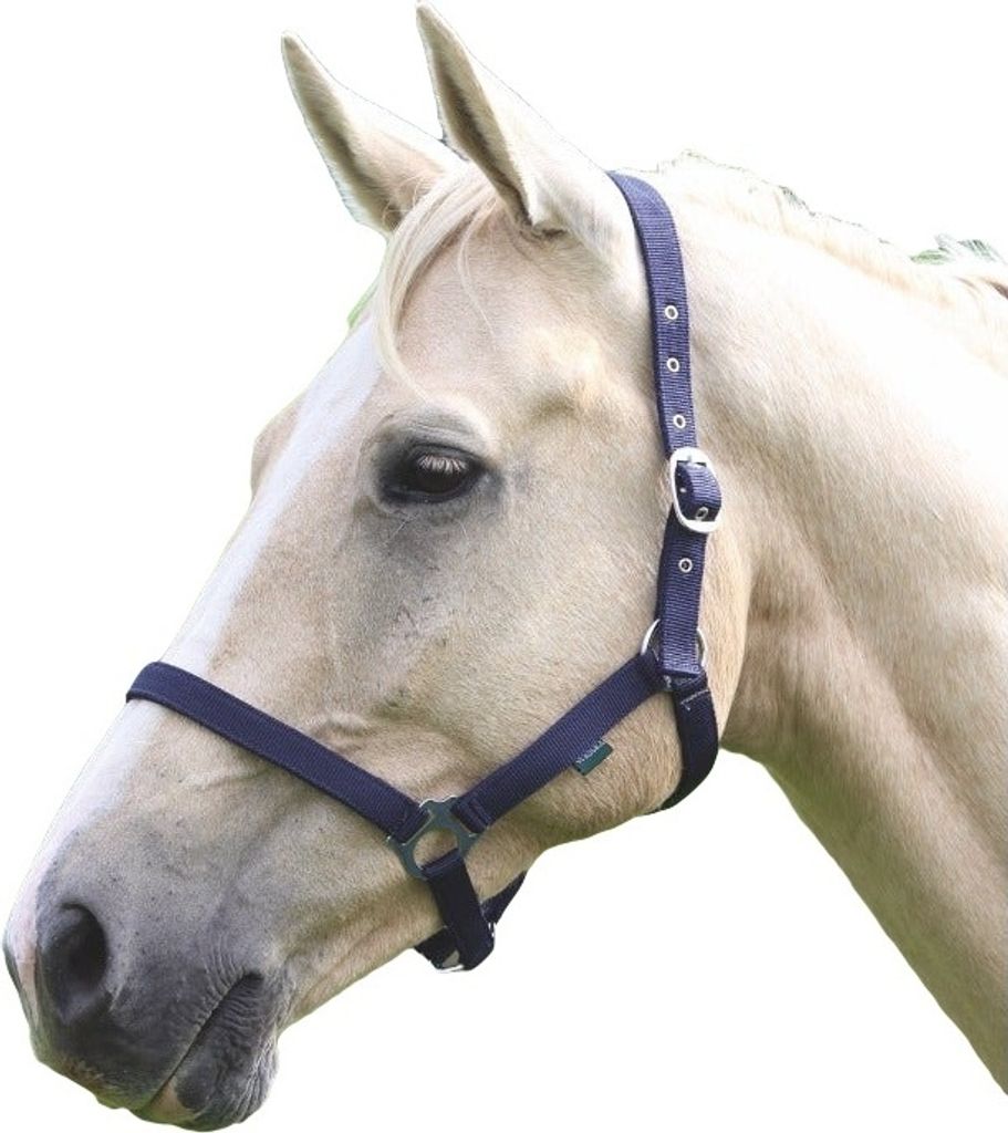 Wessex Pferdehalfter ER532 (Full) (Marineblau)