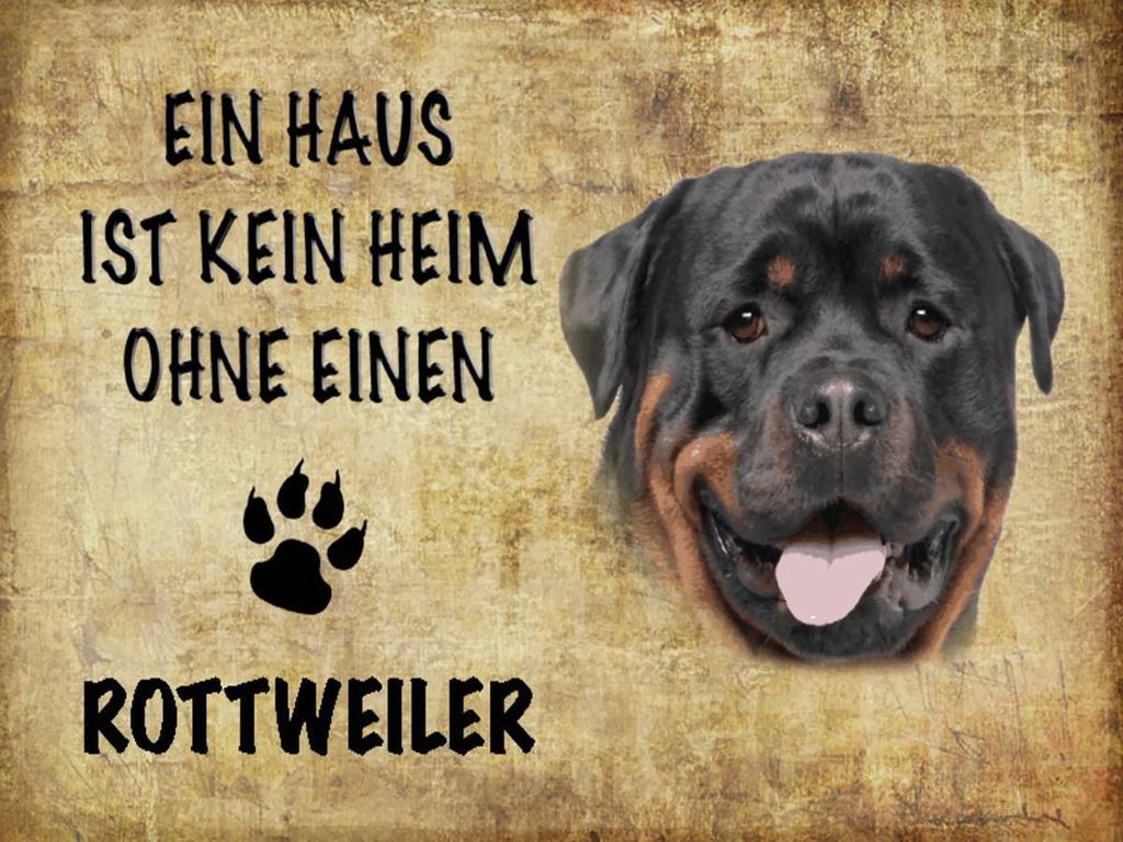 vianmo Holzschild 30x40 cm Rottweiler Hund ohne kein Heim Produktbild 