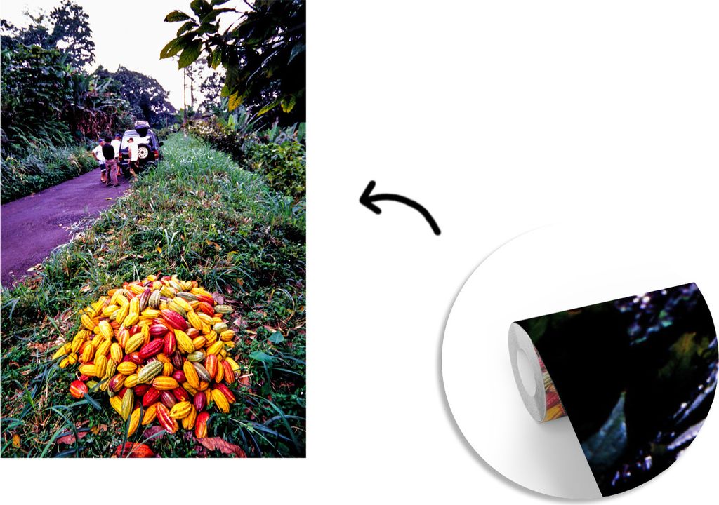 MuchoWow Fototapete für Wohnzimmer oder Schlafzimmer Wandtapete Vinyl Motivtapete Haufen von tropischen und frischen Kakaobohnen - 190x280 cm - ...