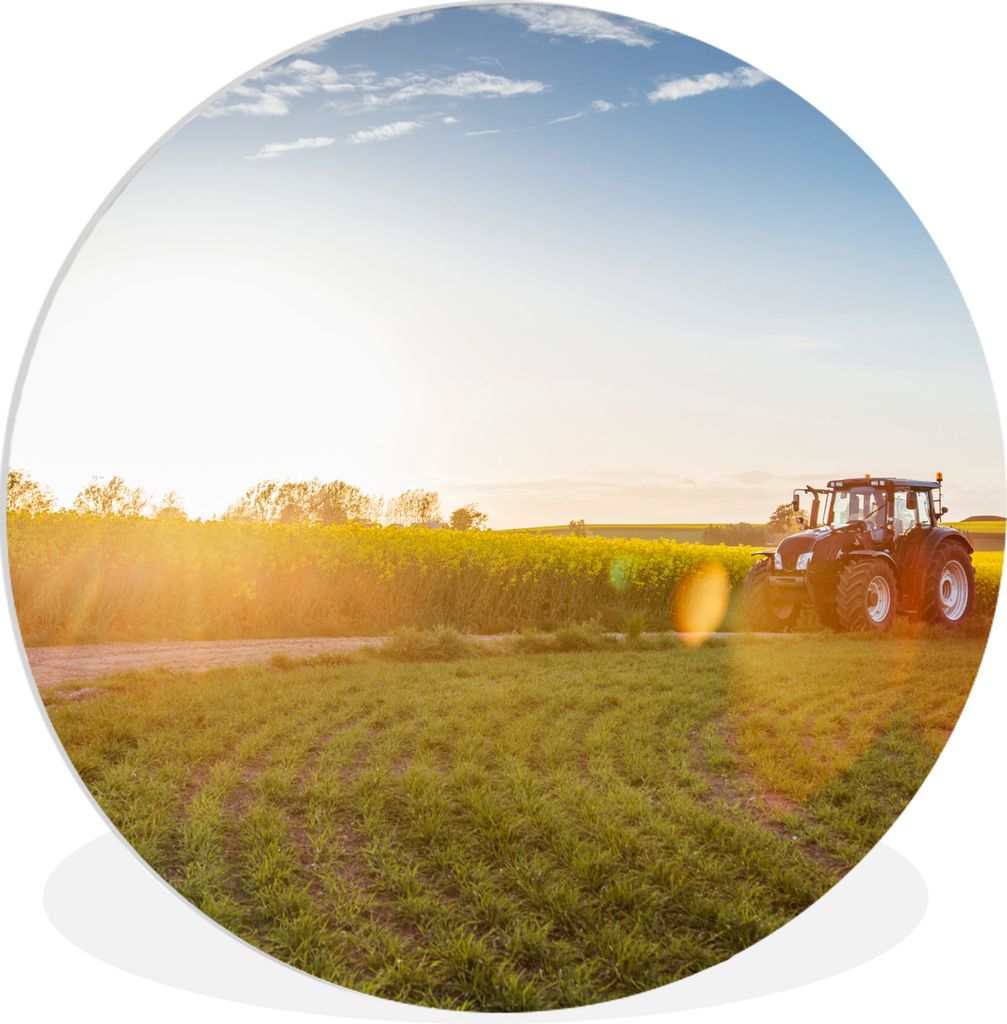 MuchoWow Rundes Wandbild - Runde Bilder Traktor - Gras - Sonnenuntergang Ø 60 cm Kreis Wanddekoration Kunststoff - Wandkreis - Wandschmuck - Wan...