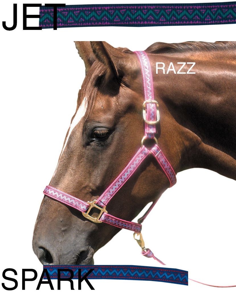 Weaver Nylonhalfter Electra Halfter Electra, jet, Gr. Warmblut