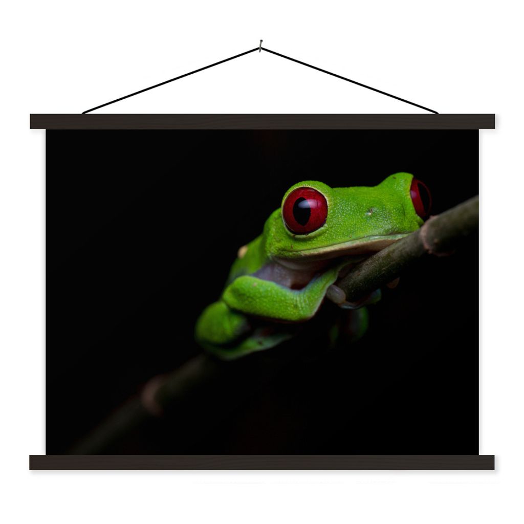 MuchoWow Textilposter Rotäugiger Quecksilberfrosch auf schwarzem Hintergrund 60x45 cm mit schwarzem Rahmen - Poster Schlafzimmer
