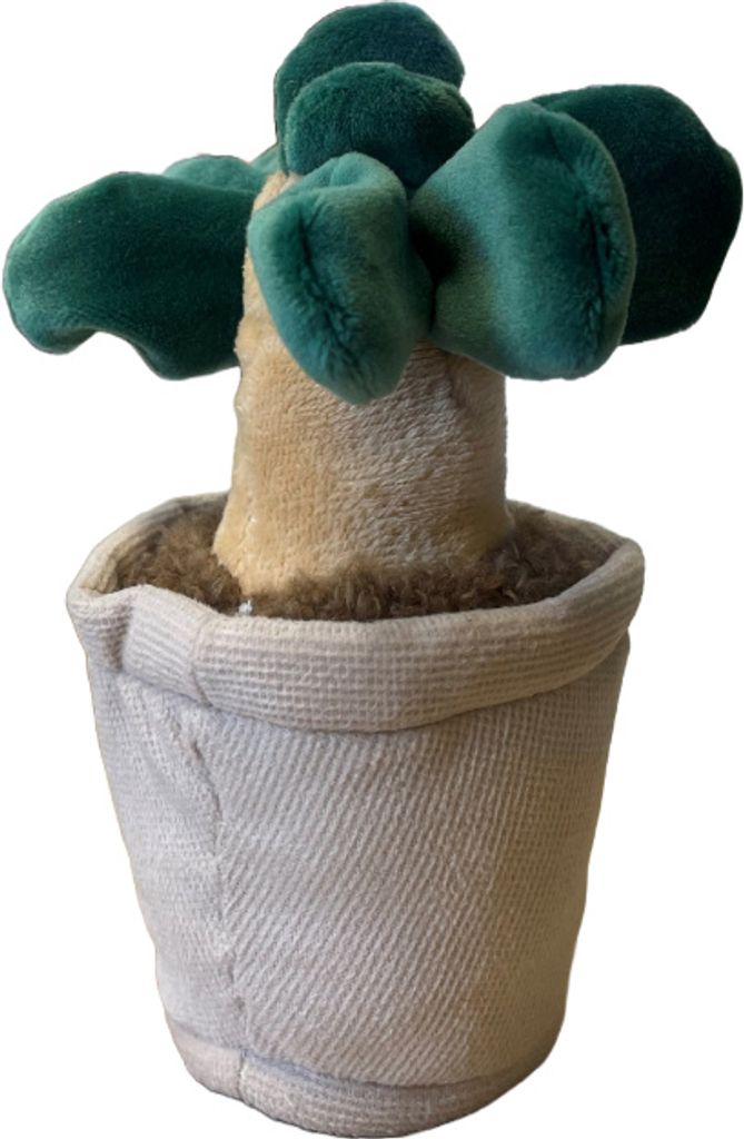 Take Me Home plant pluche Kamerplant 12-17cm 660620