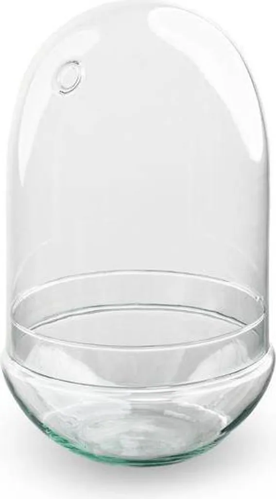 Terrarium Oeuf XL en verre recyclé Ø17,5 x 30 cm - Jardin de bouteille
