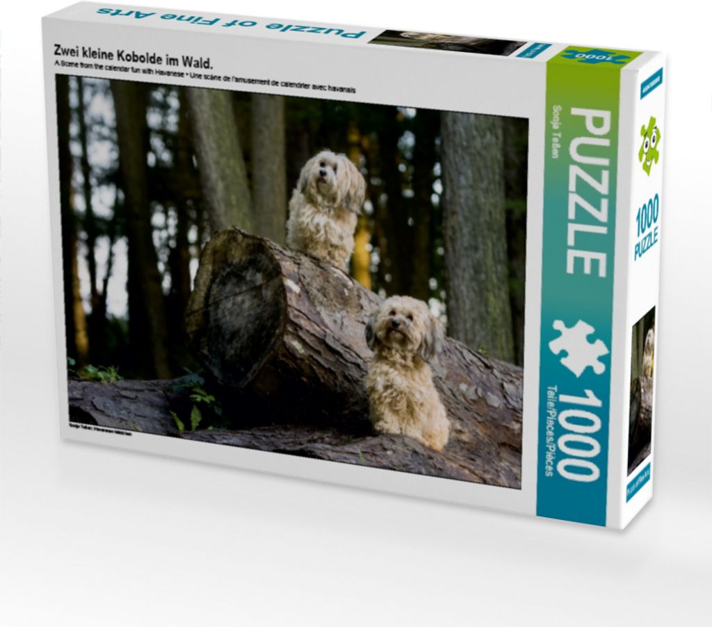 Calvendo Zwei kleine Kobolde im Wald. 1000 Teile Puzzle quer 640x480mm, Teßen Sonja; 7455171