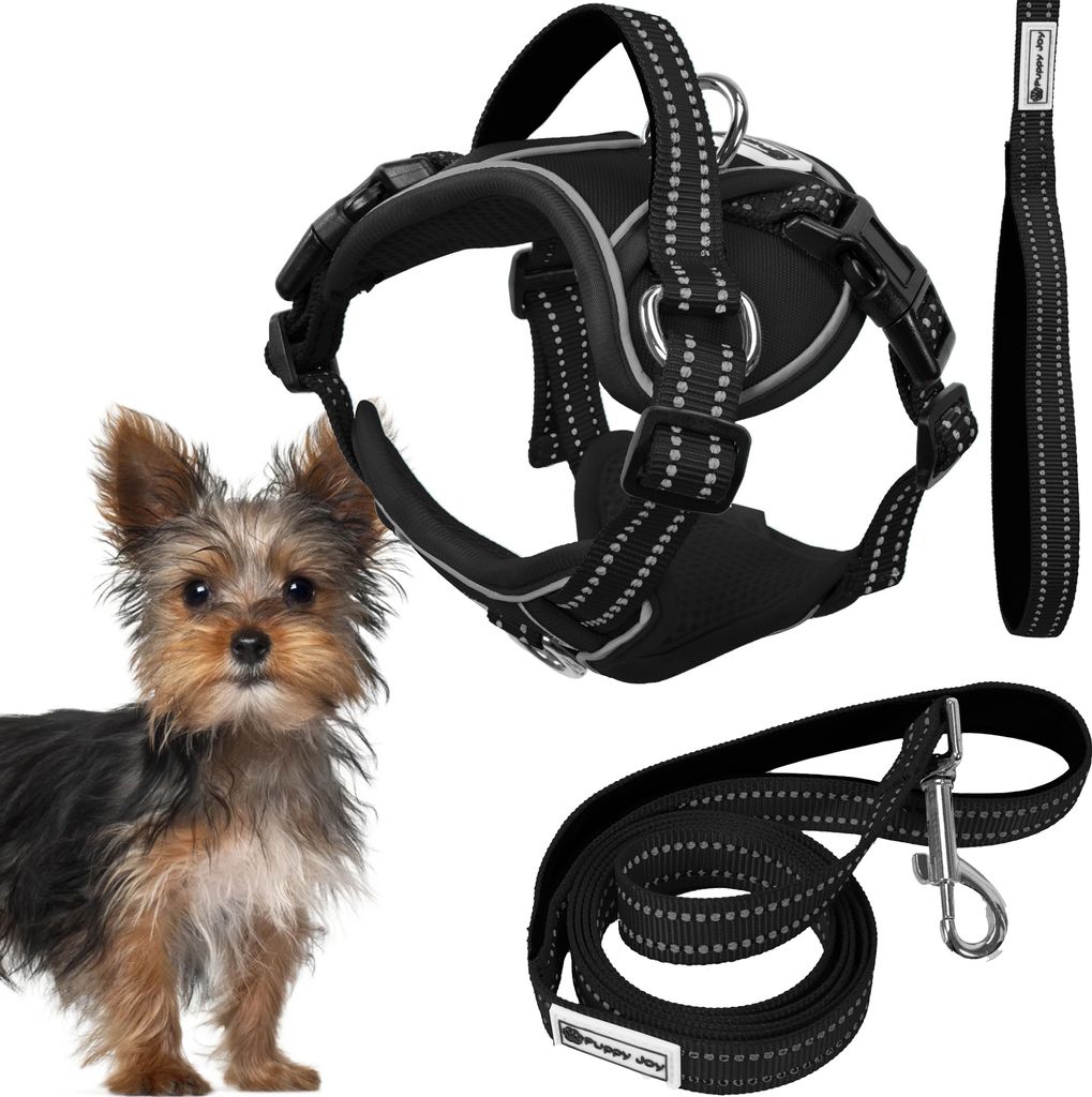 Tutumi Hundeleine Und Geschirr Pj-047 Xs Black