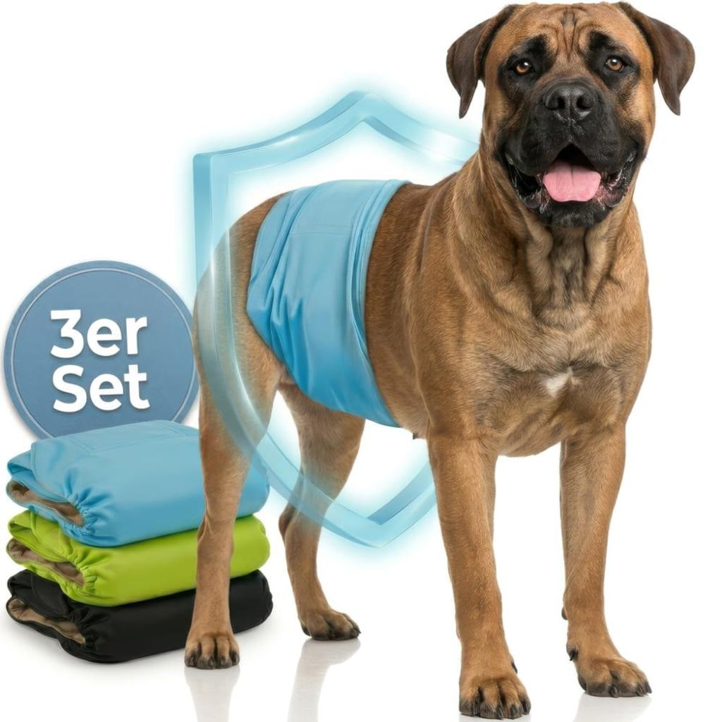 HUND IST KÖNIG Hundewindeln für Rüden [3 Stk], XXL (Taille Produktbild 
