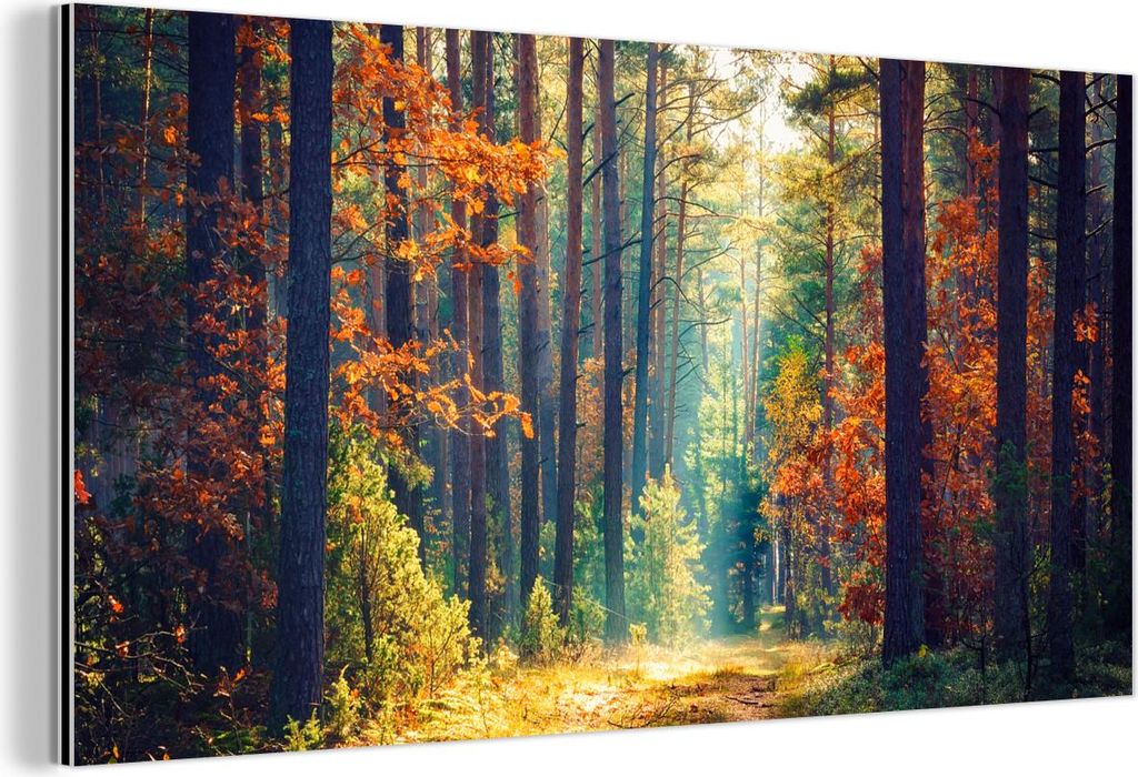MuchoWow Wanddekoration Metall Metallbild Wandkunst 40x20 cm Wald - Sonne - Natur - Herbst MuchoWow Aluminium Gemälde - Bild - Aluminium